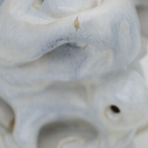 FACE 10 • ICEBERG – Image 5