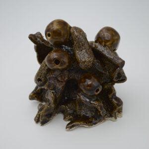 FACE 11 • VIGNE – Image 2
