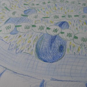 PERLES – Image 4