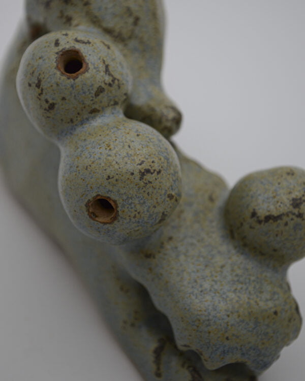 FACE 45 • SAVANE crc.