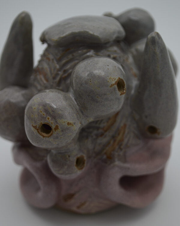 FACE 22 • RHINO