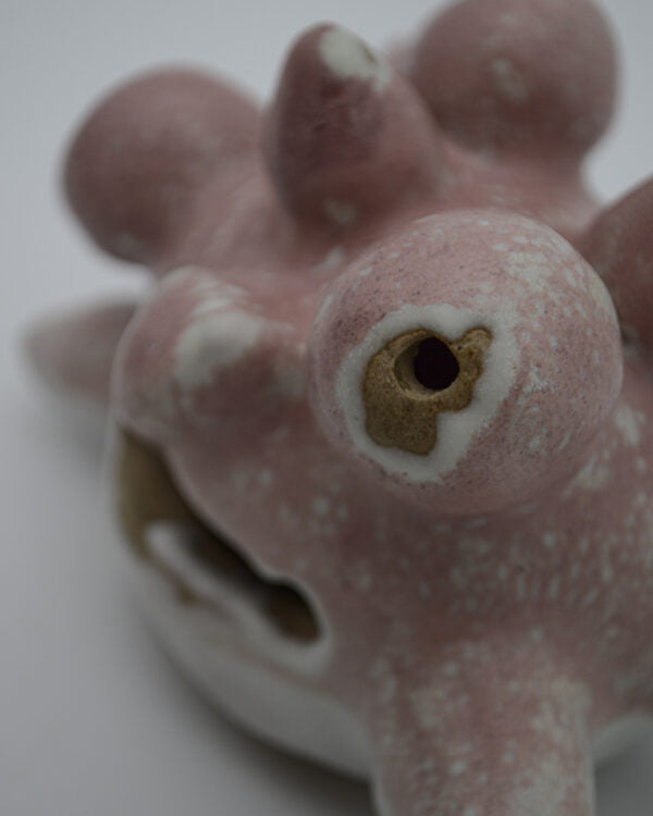 FACE 47 • SAVANE li.